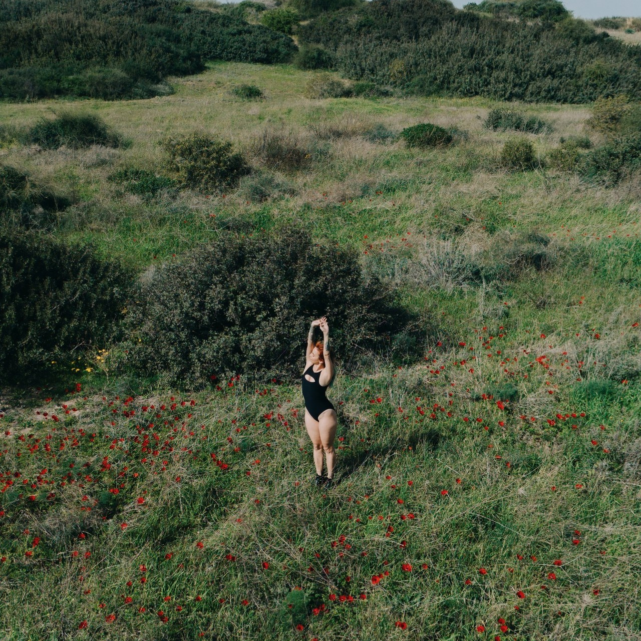 Testimonials. Sentiakov Valerii, Photographer. Israel