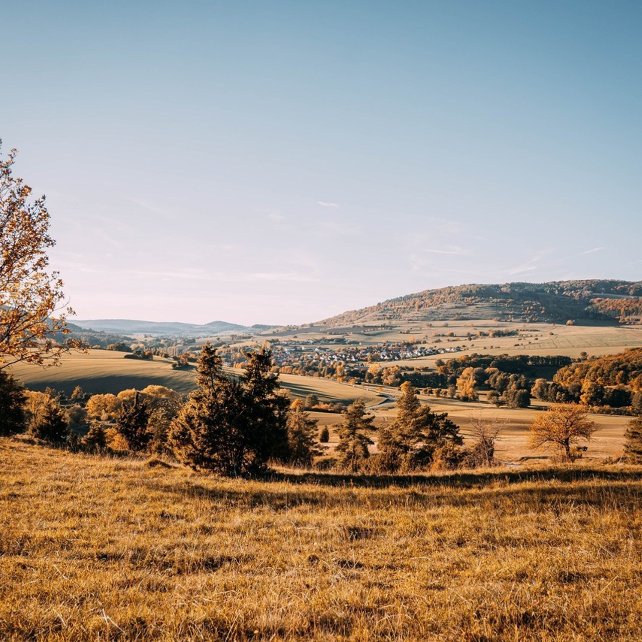 Referenzen. Aleksandra Malahov