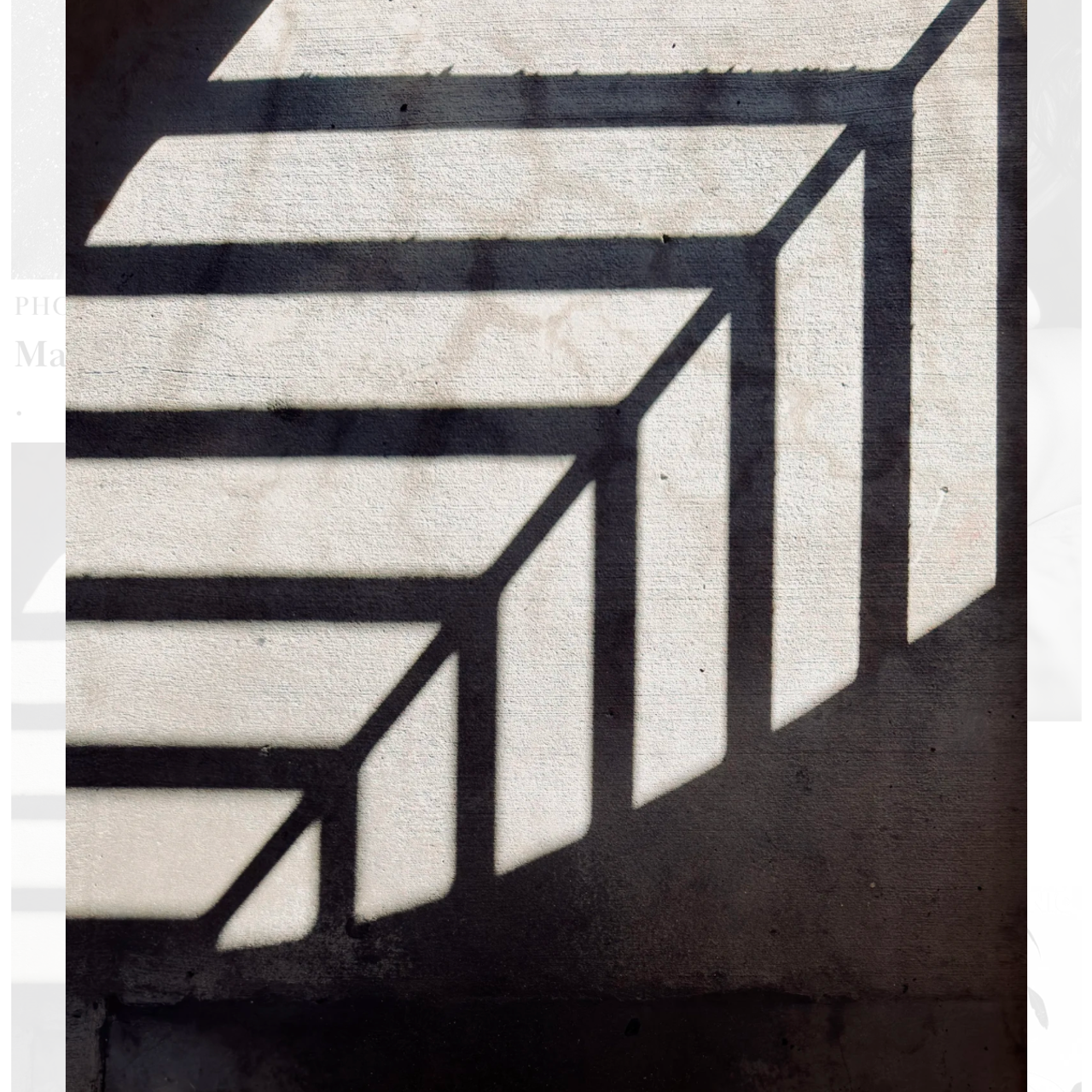 Visual Studies. DESIGN DRAFT 3D