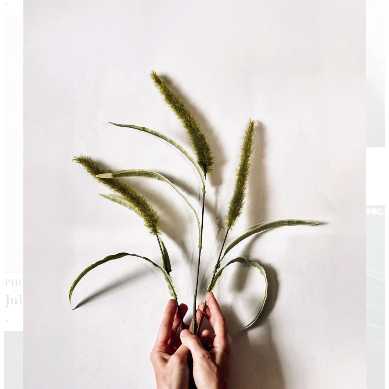 Visual Studies. DESIGN DRAFT 3D