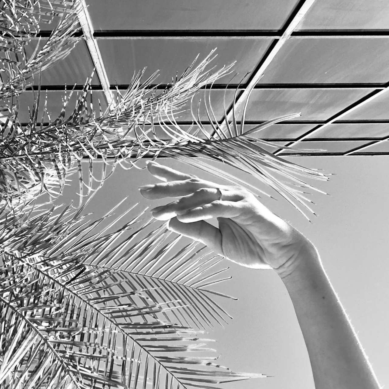 Visual Studies. DESIGN DRAFT 3D