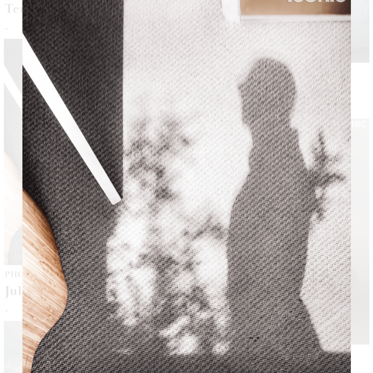 Visual Studies. DESIGN DRAFT 3D