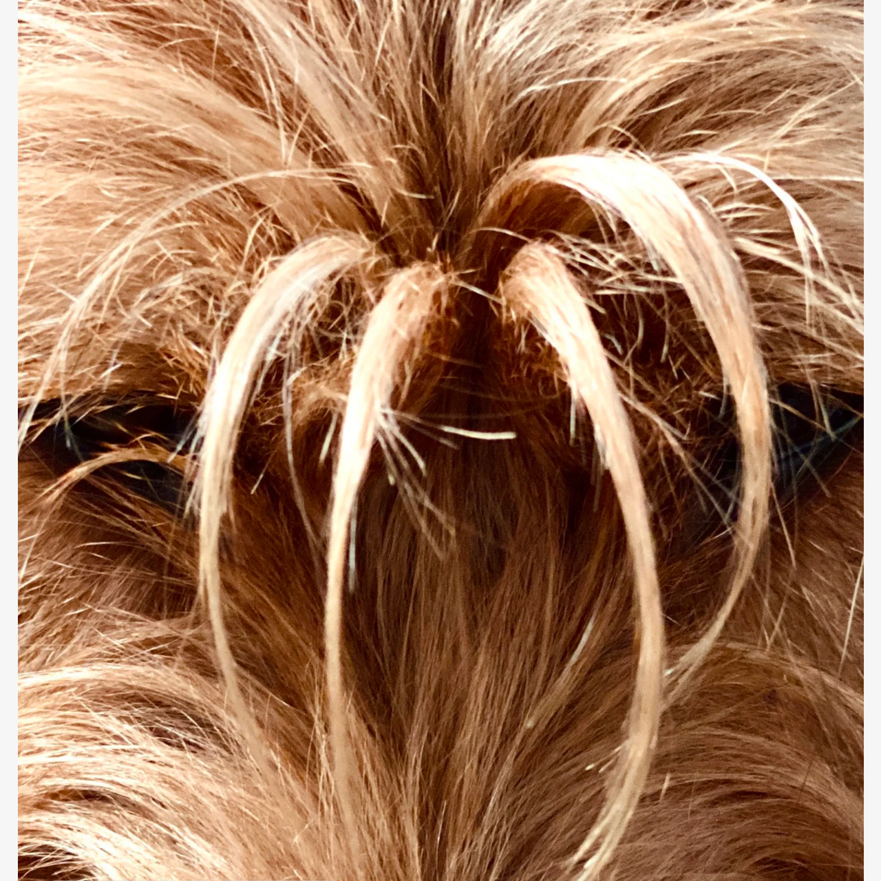 Visual Studies. DESIGN DRAFT 3D