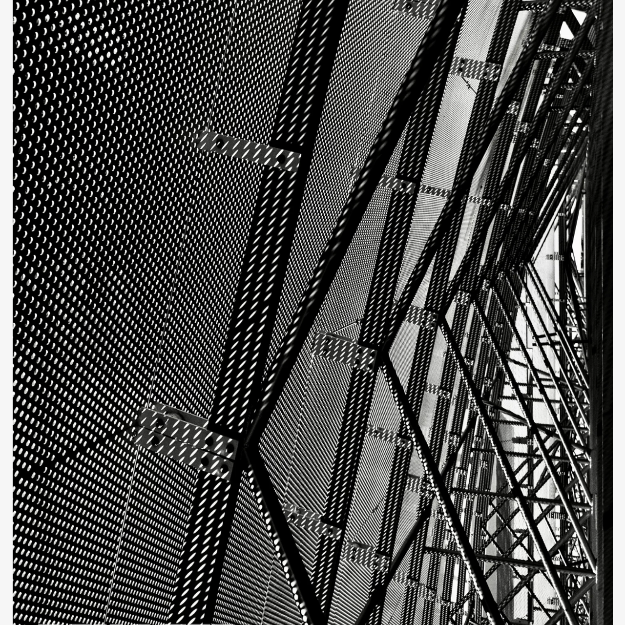 Visual Studies. DESIGN DRAFT 3D