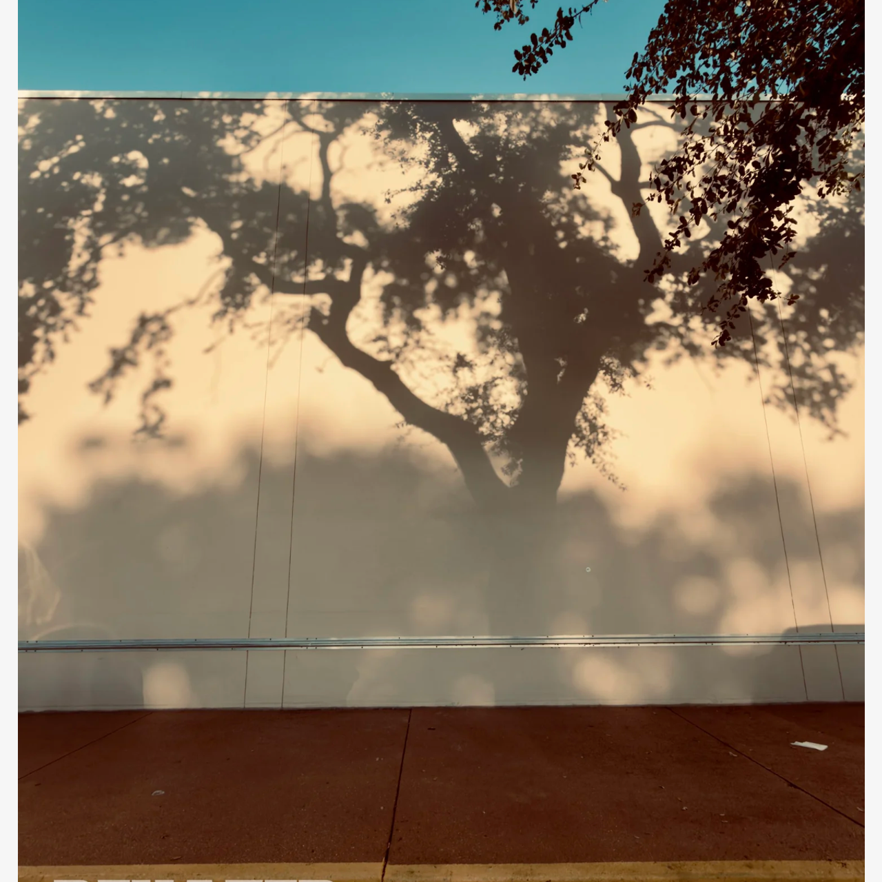 Visual Studies. DESIGN DRAFT 3D