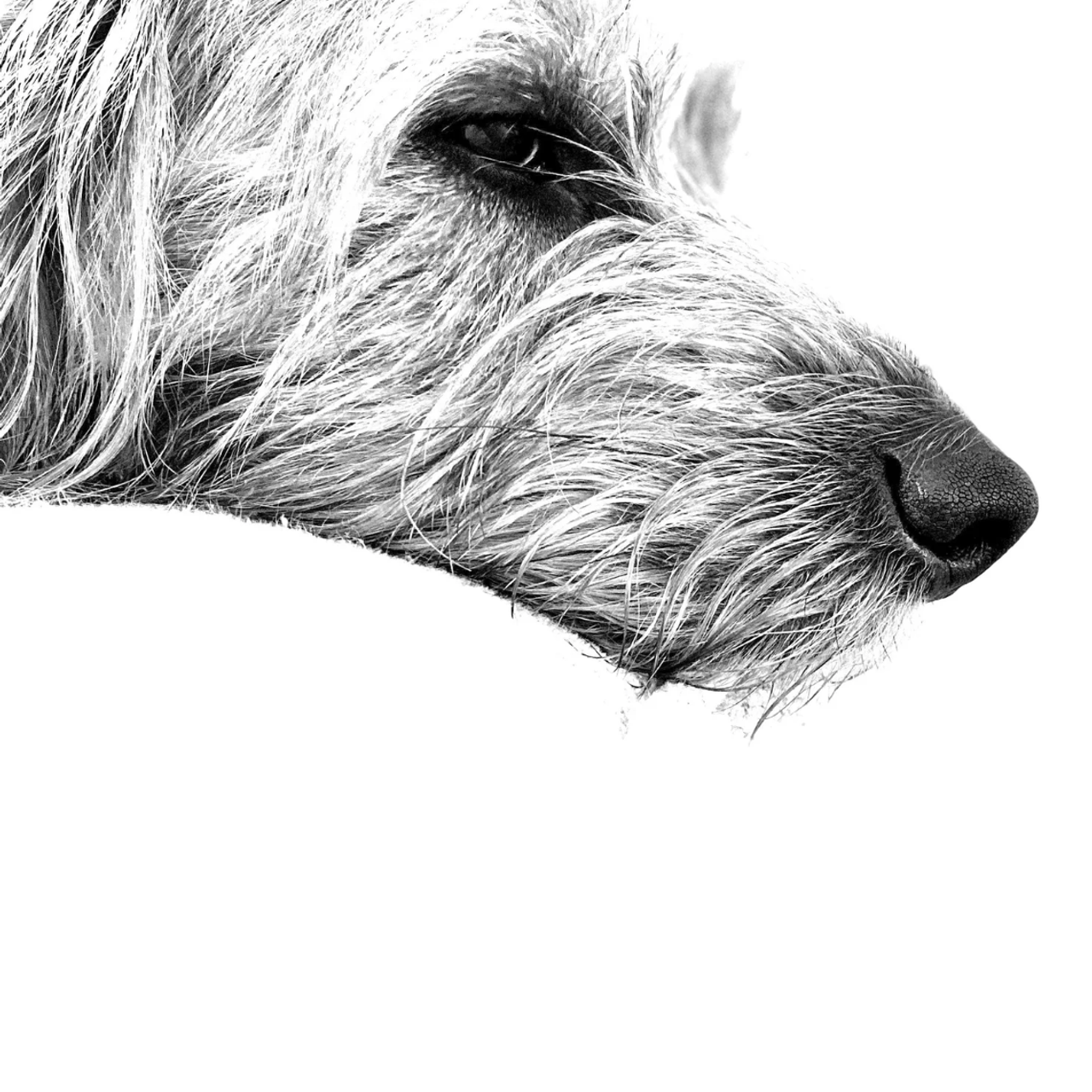 Visual Studies. DESIGN DRAFT 3D