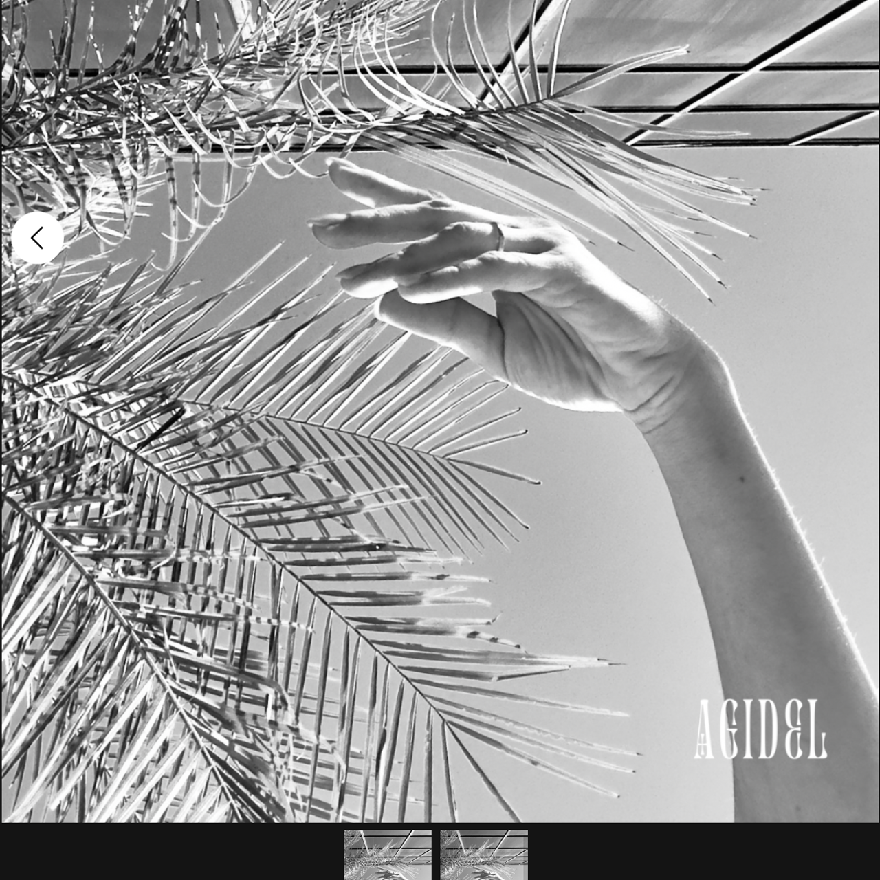 Visual Studies. DESIGN DRAFT 3D