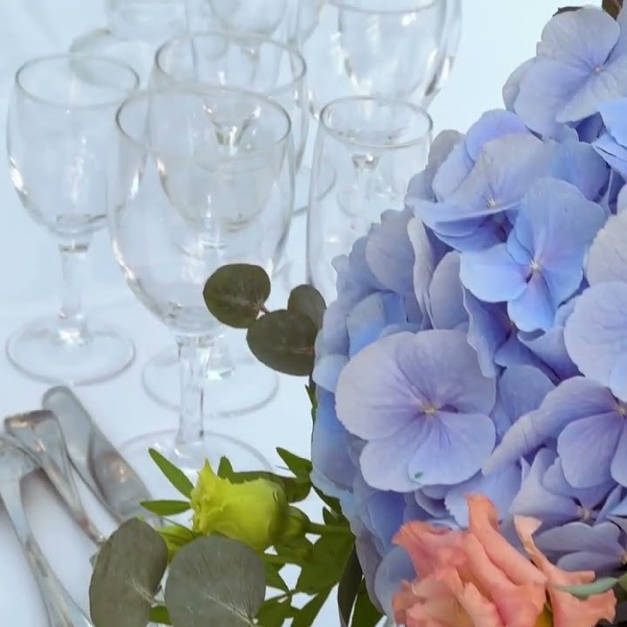 Videos. Photographe à Paris