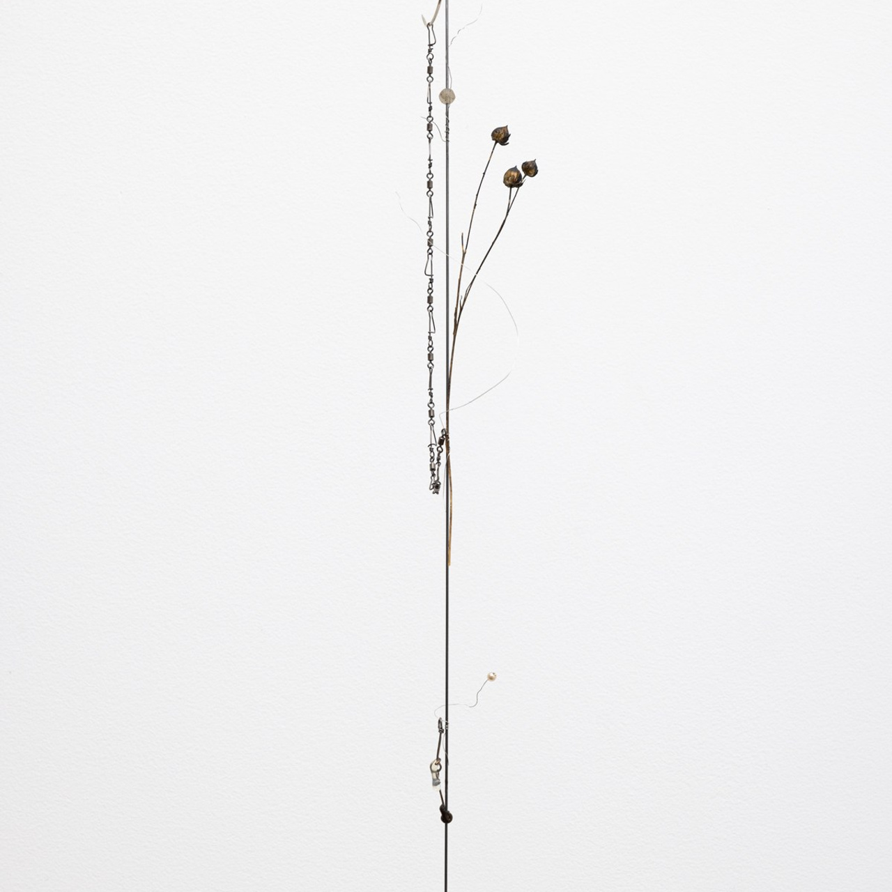 Exhibitions. Photographe à Paris