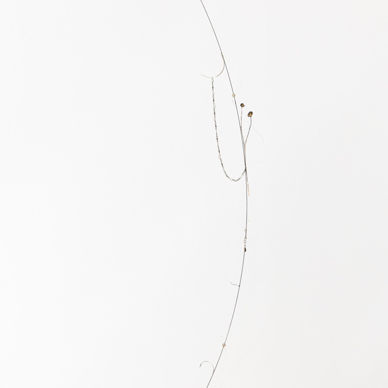 Exhibitions. Photographe à Paris