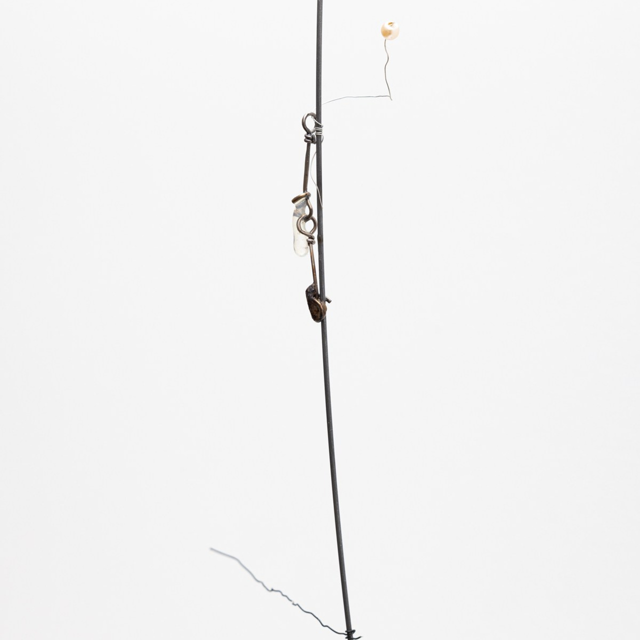 Exhibitions. Photographe à Paris