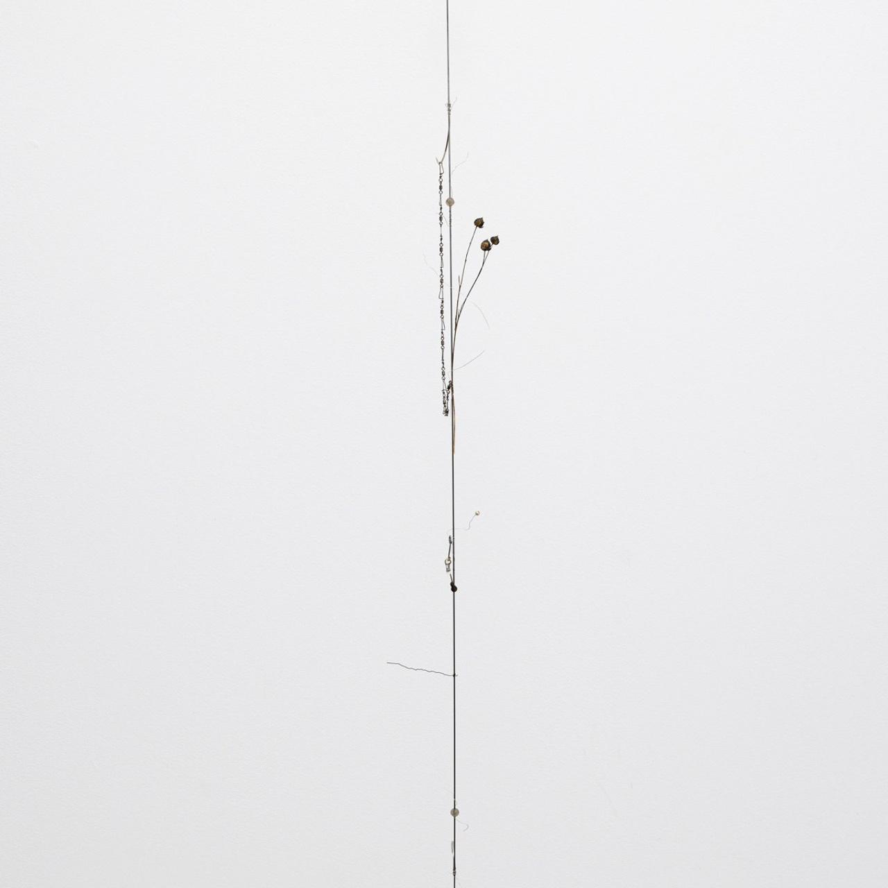 Exhibitions. Photographe à Paris