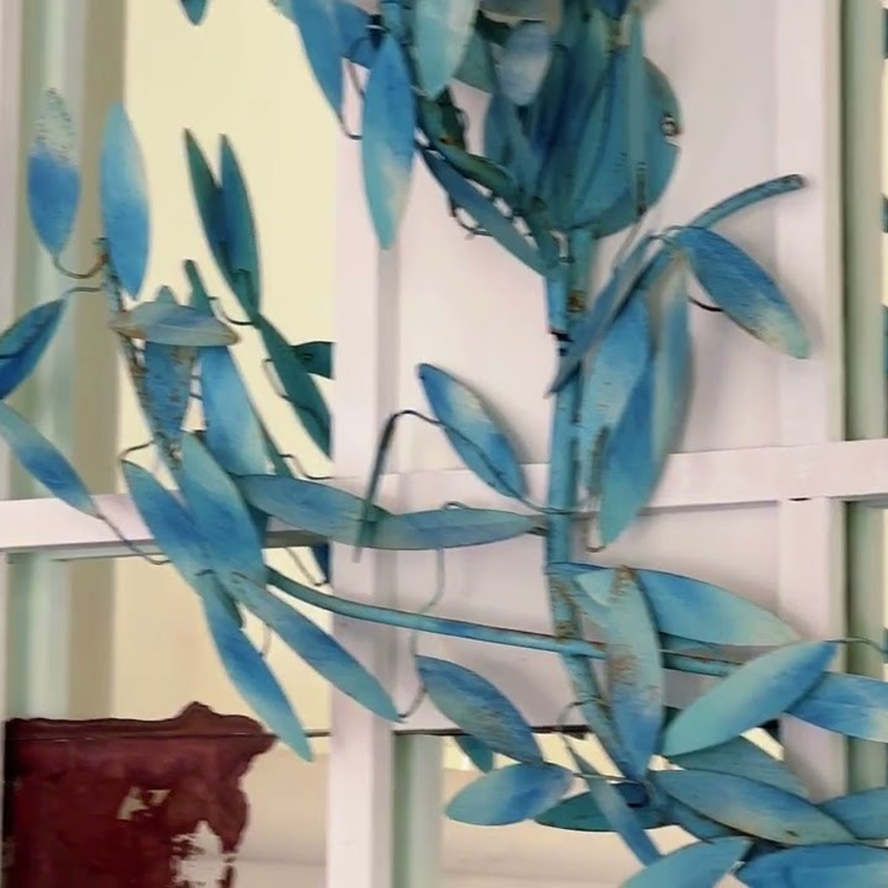 Videos. Photographe à Paris