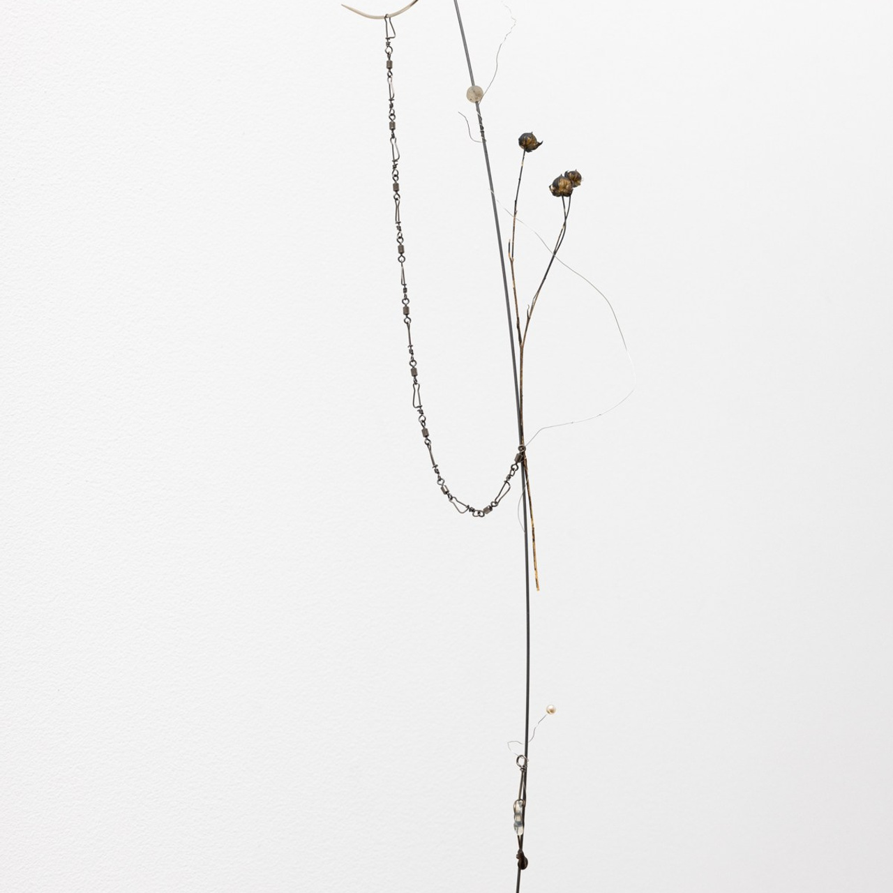 Exhibitions. Photographe à Paris