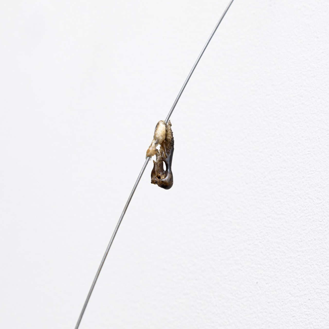 Exhibitions. Photographe à Paris