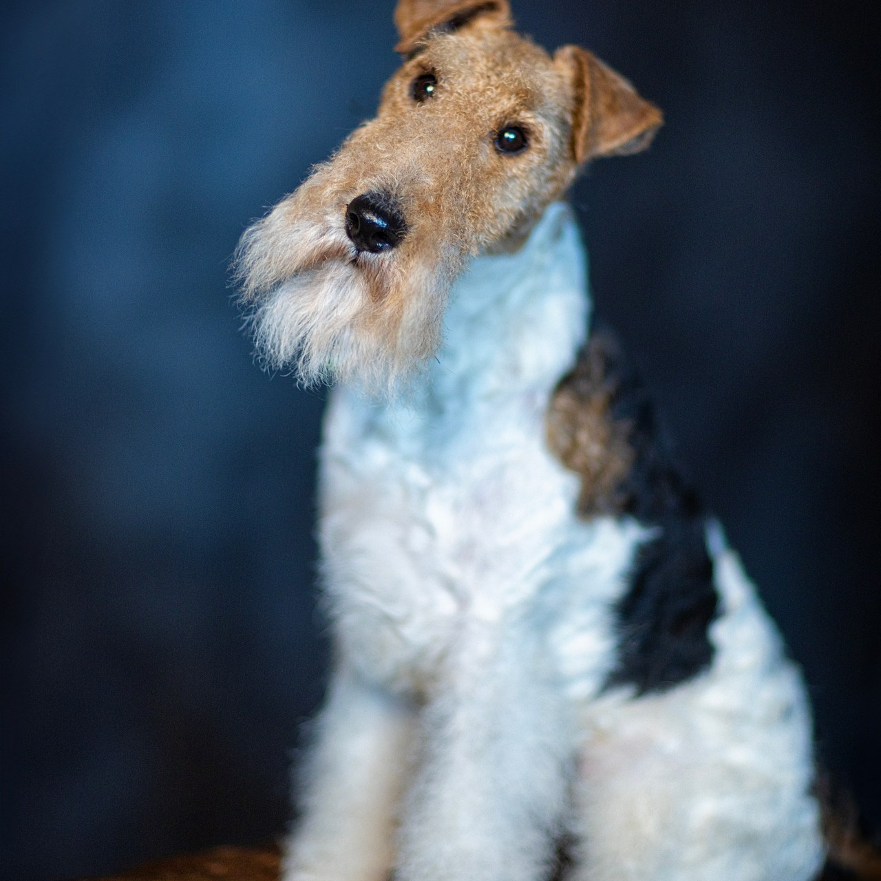 Отзывы. Фотограф в Таллине Виктория Баранова |фотосессии и обучение / Photographer Viktoria Baranova