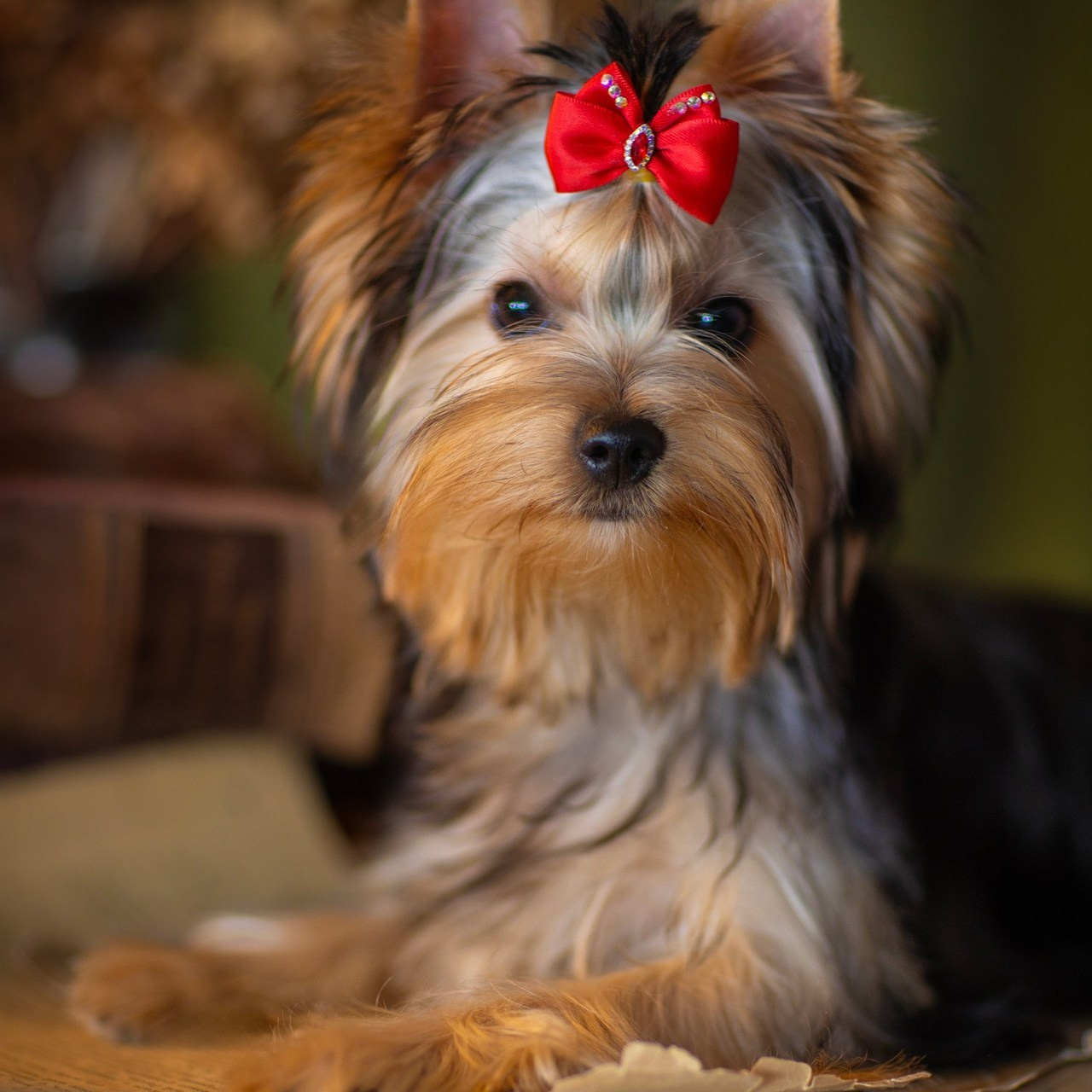 Отзывы. Фотограф в Таллине Виктория Баранова |фотосессии и обучение / Photographer Viktoria Baranova