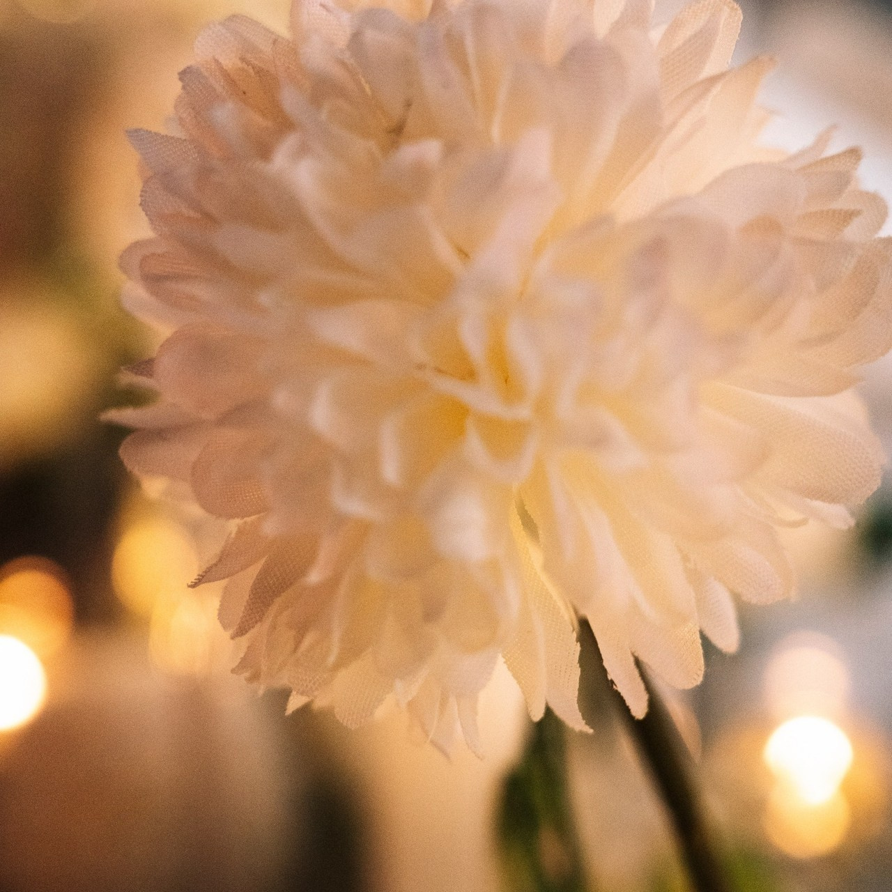 TILBAKEMELDINGER. Bryllupsfotograf, videograf, Norge. Wedding photography, Norway