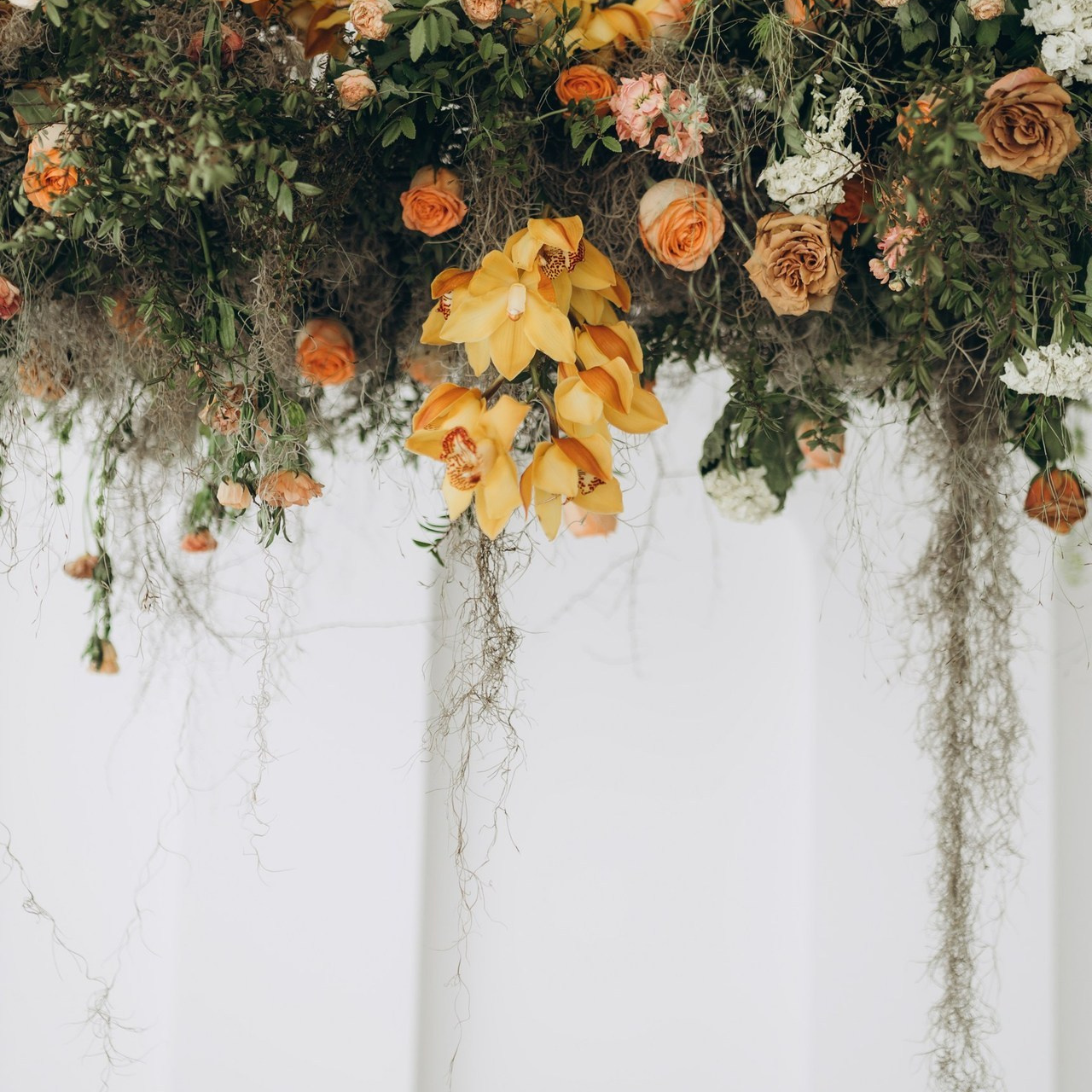 Reviews. Chernenko.photography