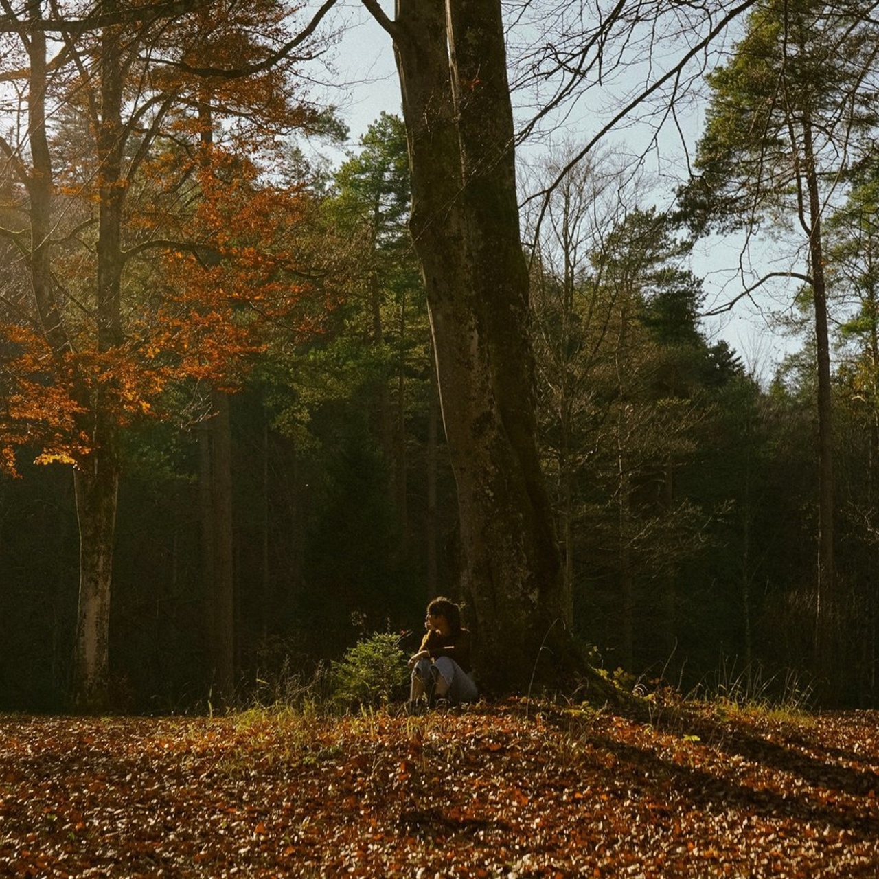 REVIEWS. Couple & wedding photographer based in Bavaria Germany Alps I ForLoveLegends