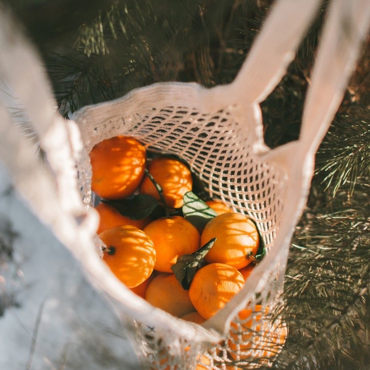 Christmas Photo Day 2024. Fotograf w Krakowie/Europie Weronika Stoma