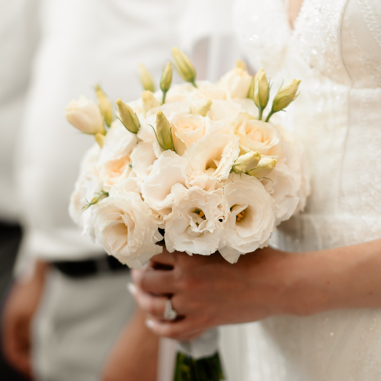 Opinii. Https://www.instagram.com/grosu.photography?igsh=MTR6Y2xobGw1ZTluZg%3D%3D&utm_source=qr