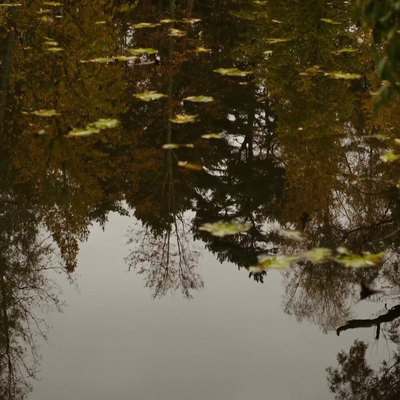 Arvustused. Jelizaveta Gross - reportaaži- ja portreefotograaf Narvas