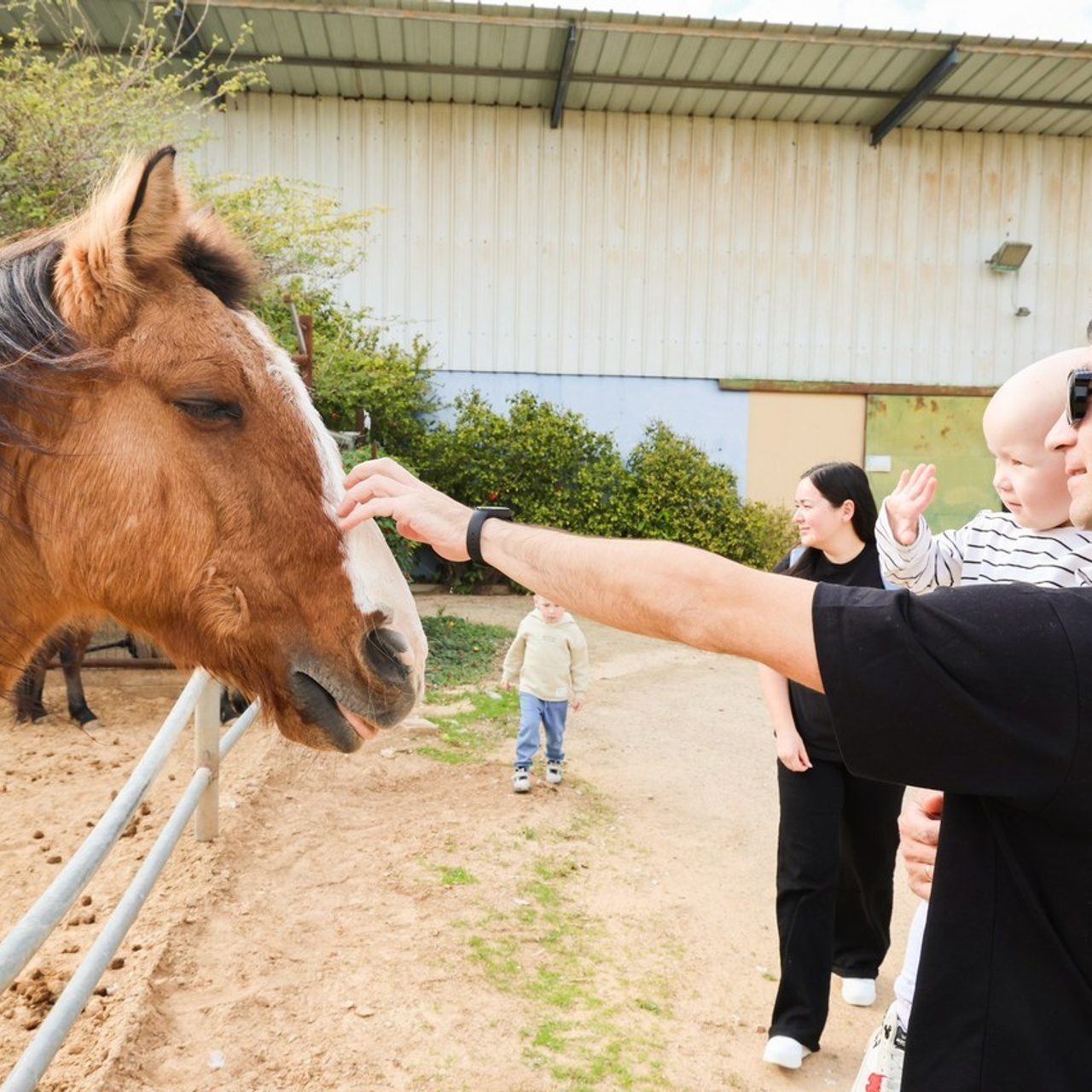 Отзывы. Photo__Vladi