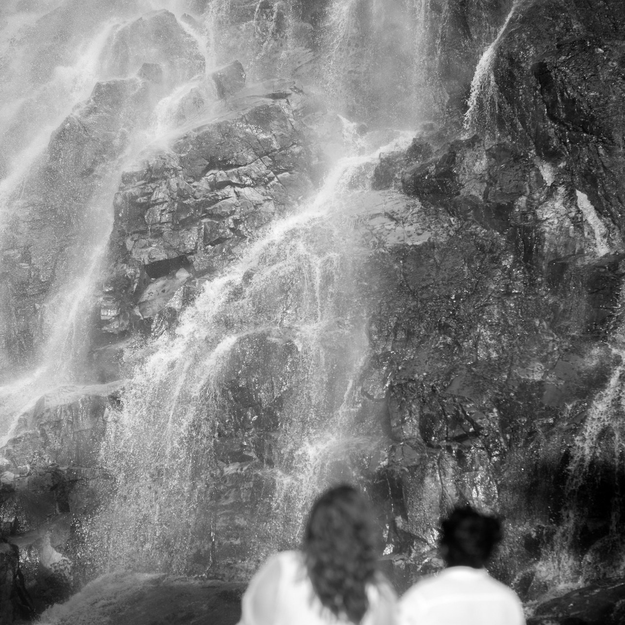 Depoimentos. Bem-vindo ao Meu Mundo Fotográfico