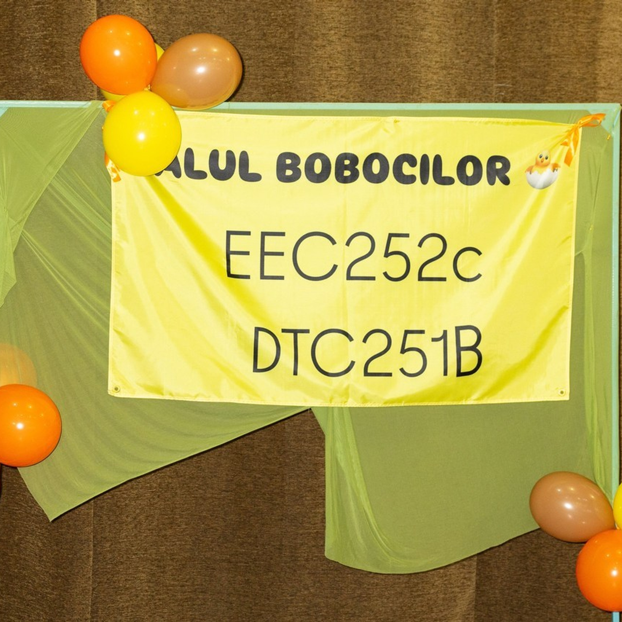 Recenzii Estudent.md – Păreri despre Albume și Ședințe Foto de Absolvire