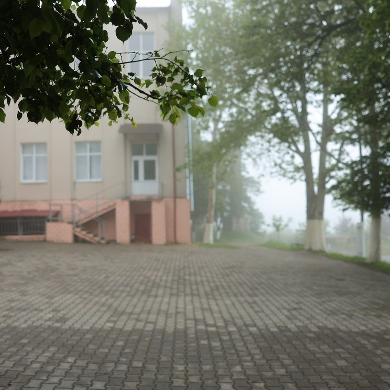 Recenzii Estudent.md – Păreri despre Albume și Ședințe Foto de Absolvire