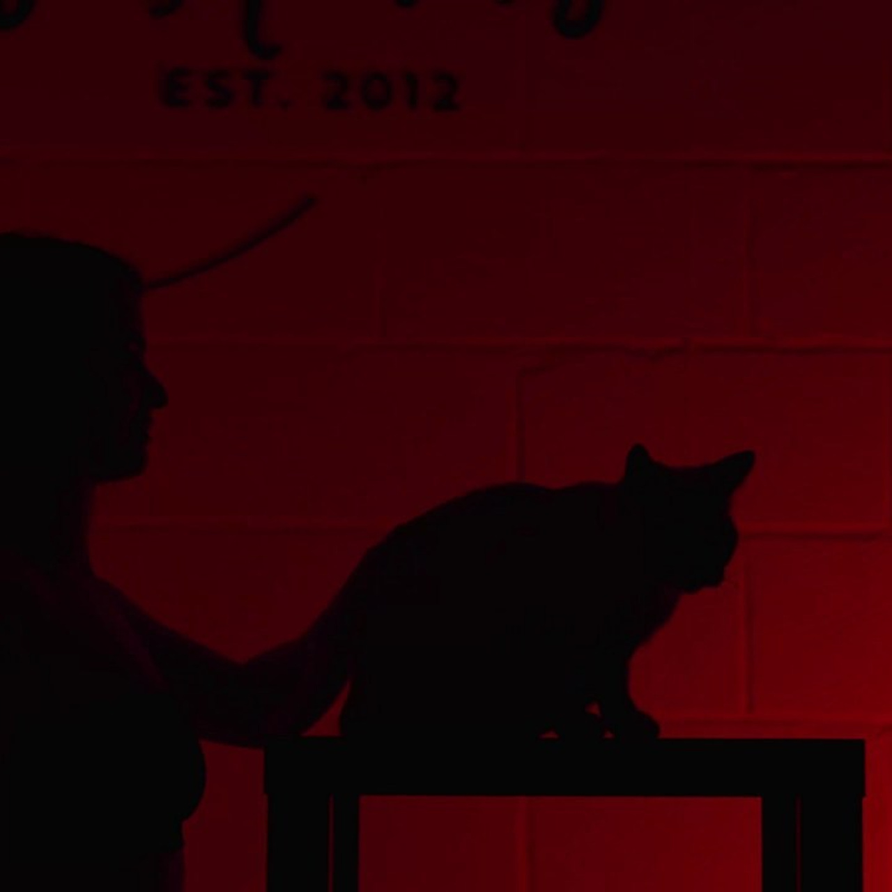 Reviews. Petru Gorea Photography | Family | Portrait | Fashion | Brand