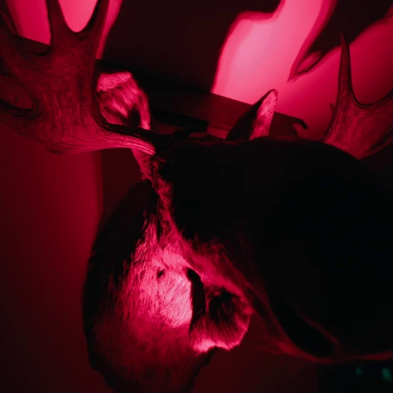 Отзывы. Евгений Тимофеев | Свадебный и контент-фотограф и видеограф в Риге