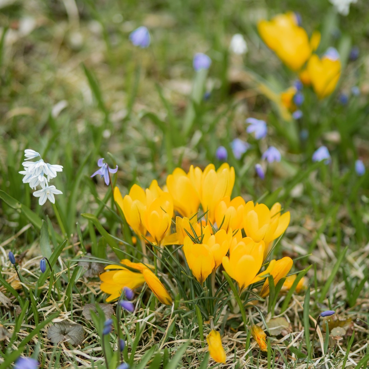 Mielipiteitä. Valokuvaaja Itä-Uudellamaalla Viktoria photography