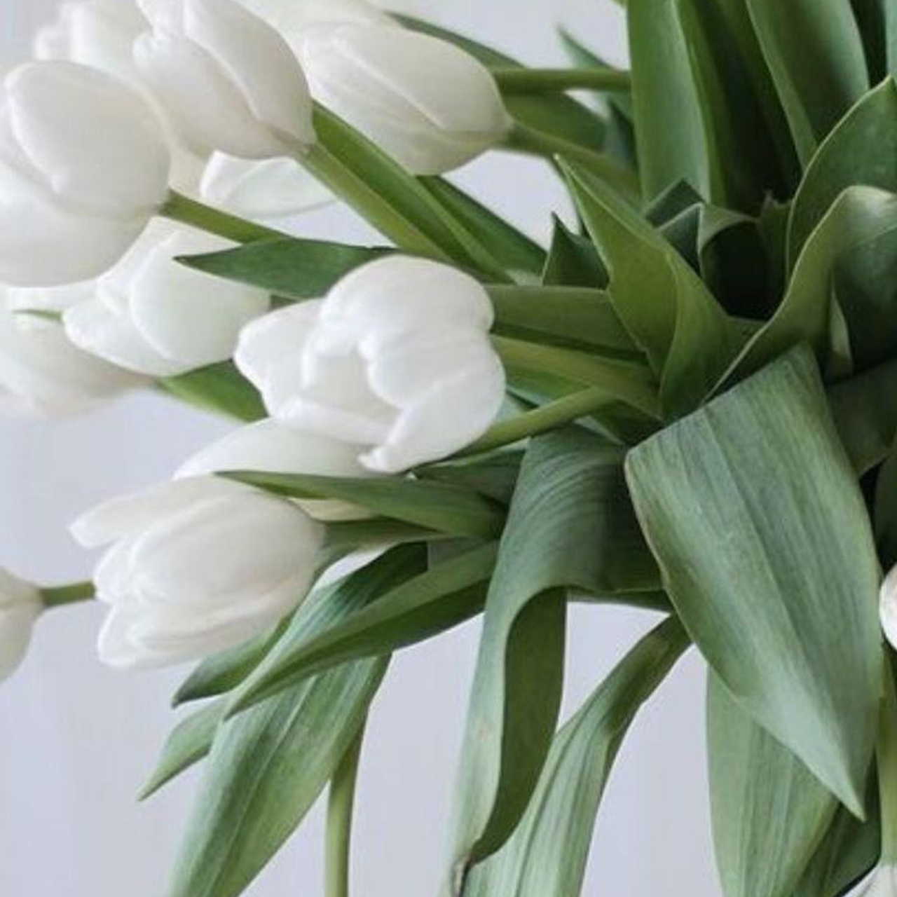 Testimonials. ФОТОГРАФ В ГОНКОНГЕ (СВАДЬБЫ, FASHION, СЕМЕЙНЫЕ, МЕРОПРИЯТИЯ, ФОТОПРОГУЛКИ)