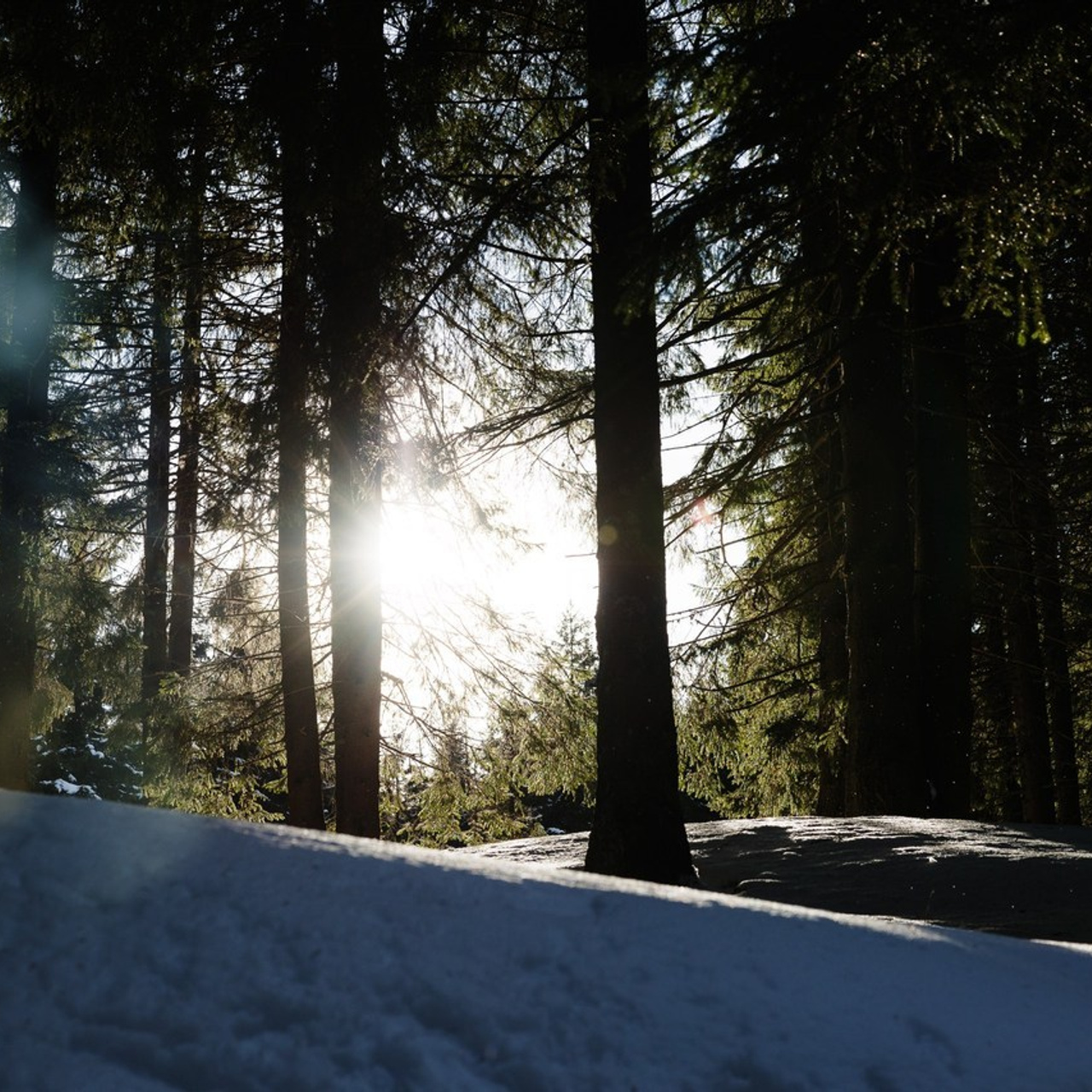 Recenzii Clienți | Fotograf Nuntă & Botez Iași | Davi Babanu