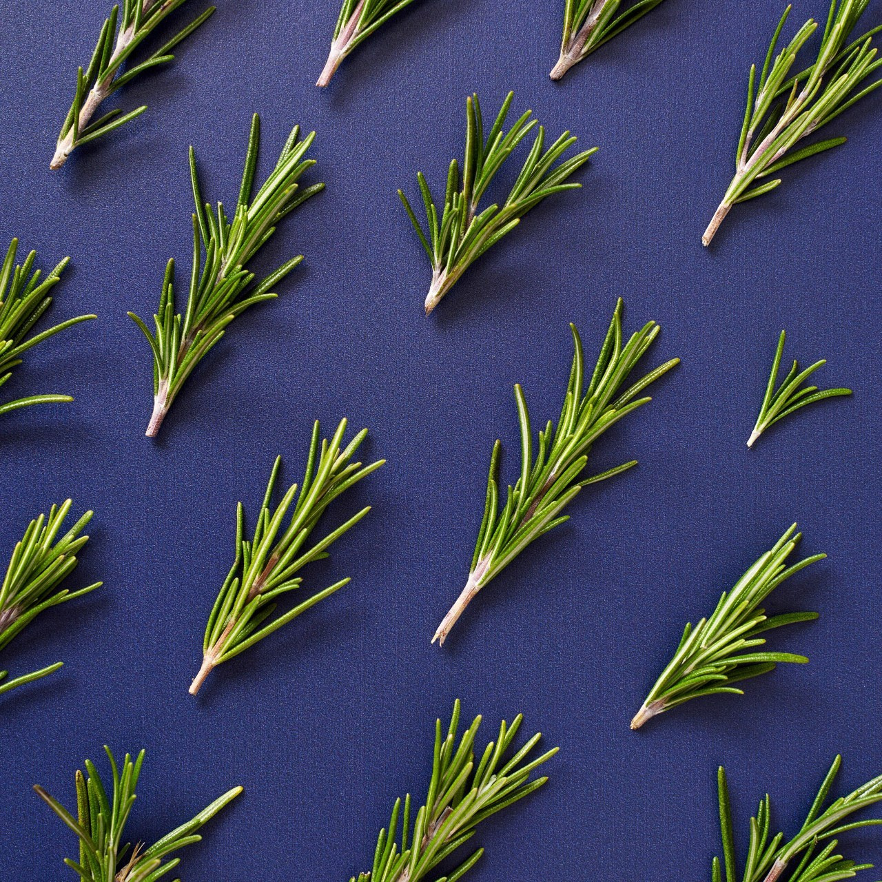 Comments. Ēdienu fotogrāfs