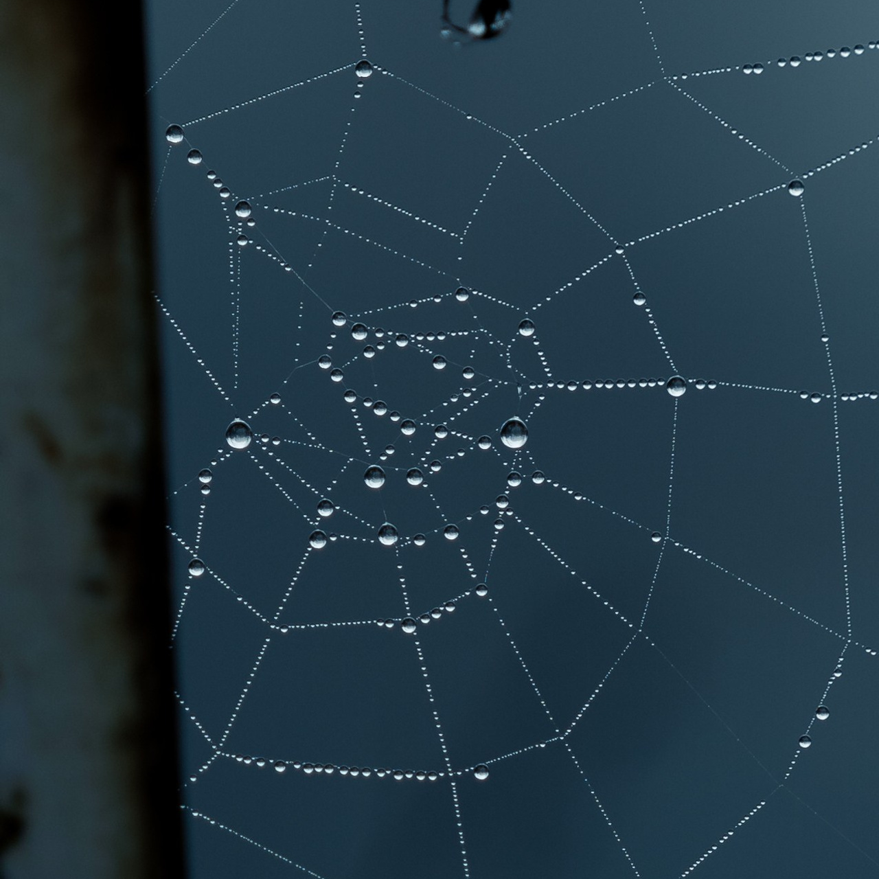 O dimineață cețoasă