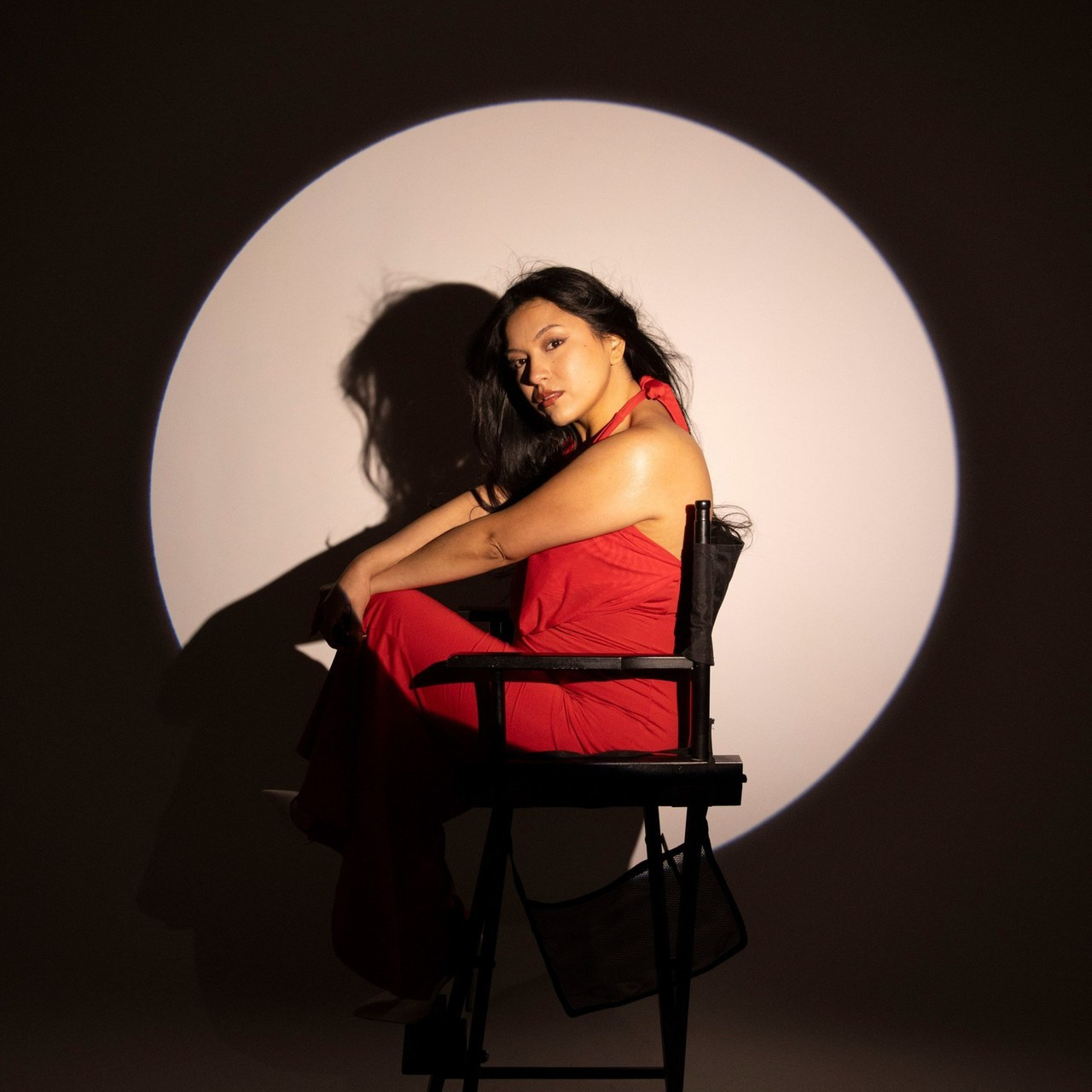 REVIEWS. SHOOT IT YOURSELF — SELF PORTRAIT STUDIO IN CHICAGO