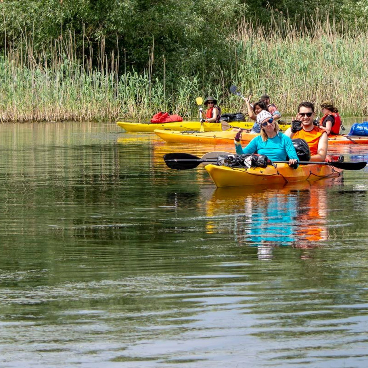 TURA FOTO DELTA DUNARII 1