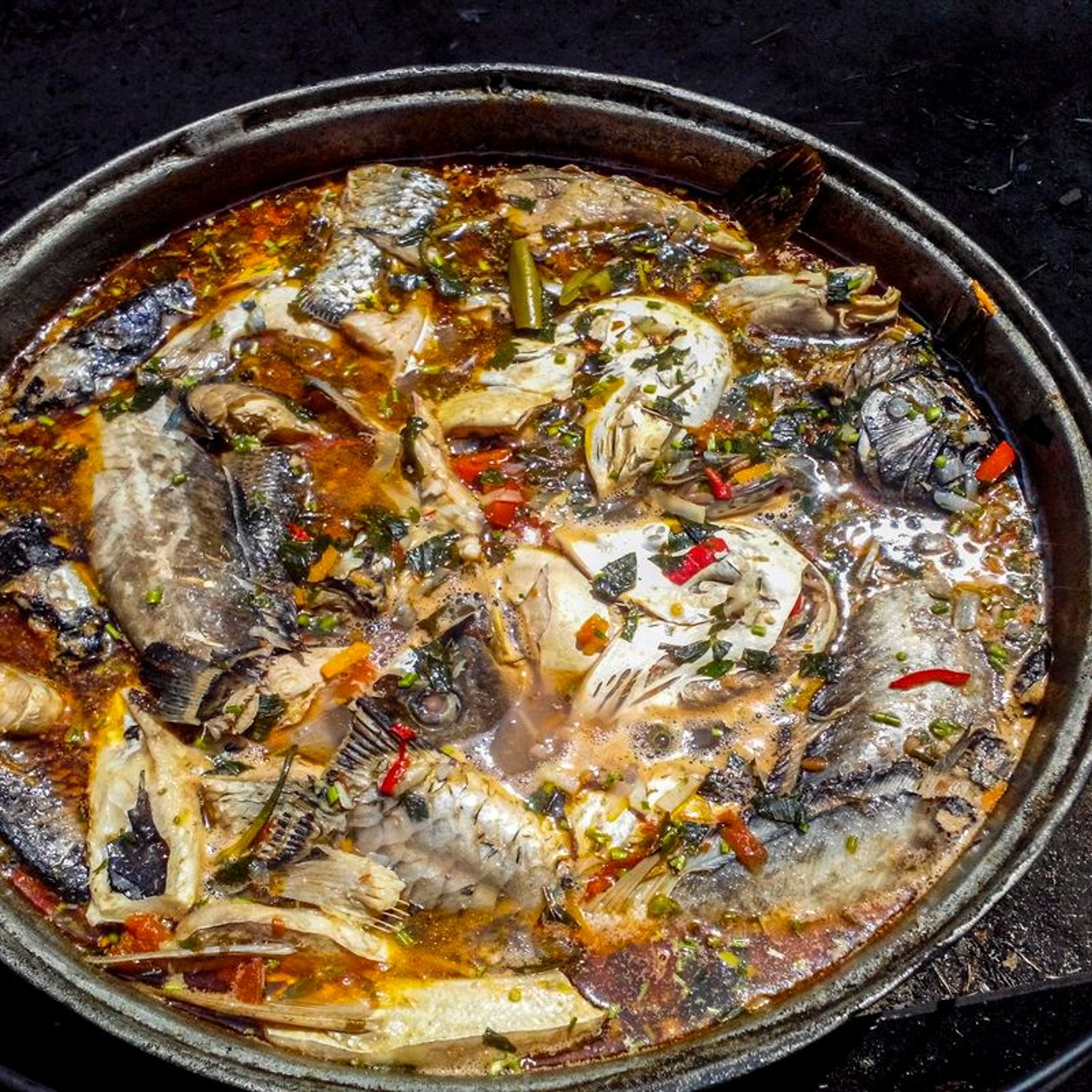 TURA FOTO DELTA DUNARII 2