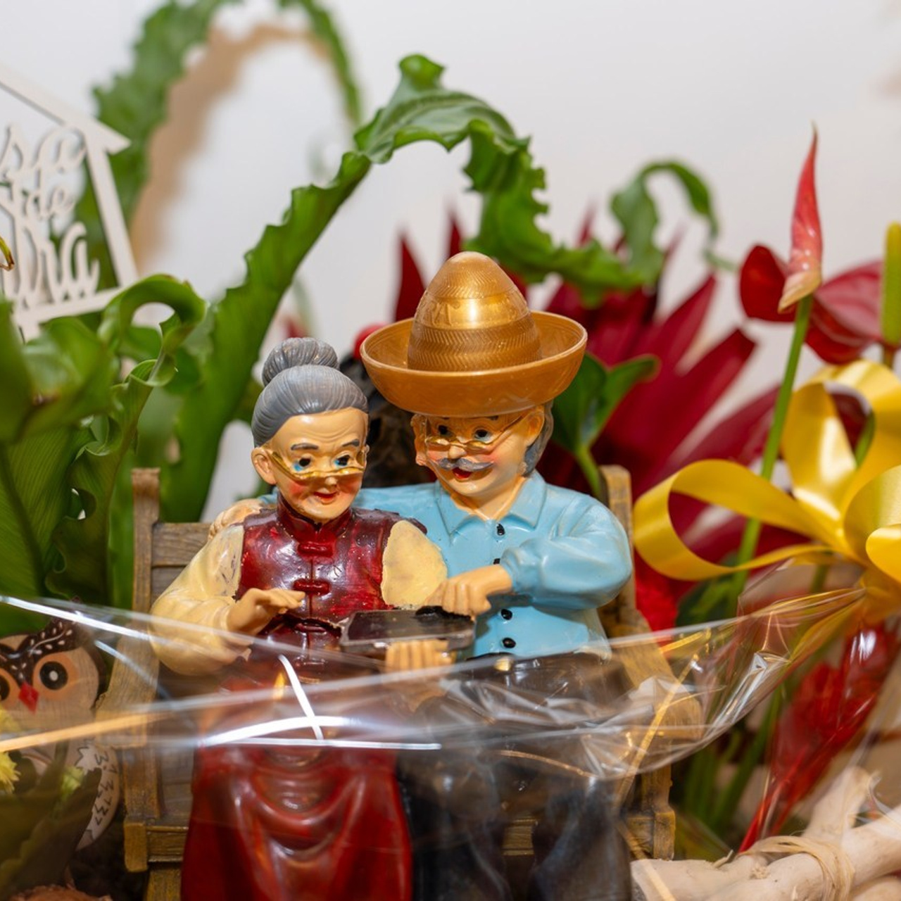 Opinii clienți | Fotograf Brașov – Daniel Hașiegan. Daniel Hașiegan