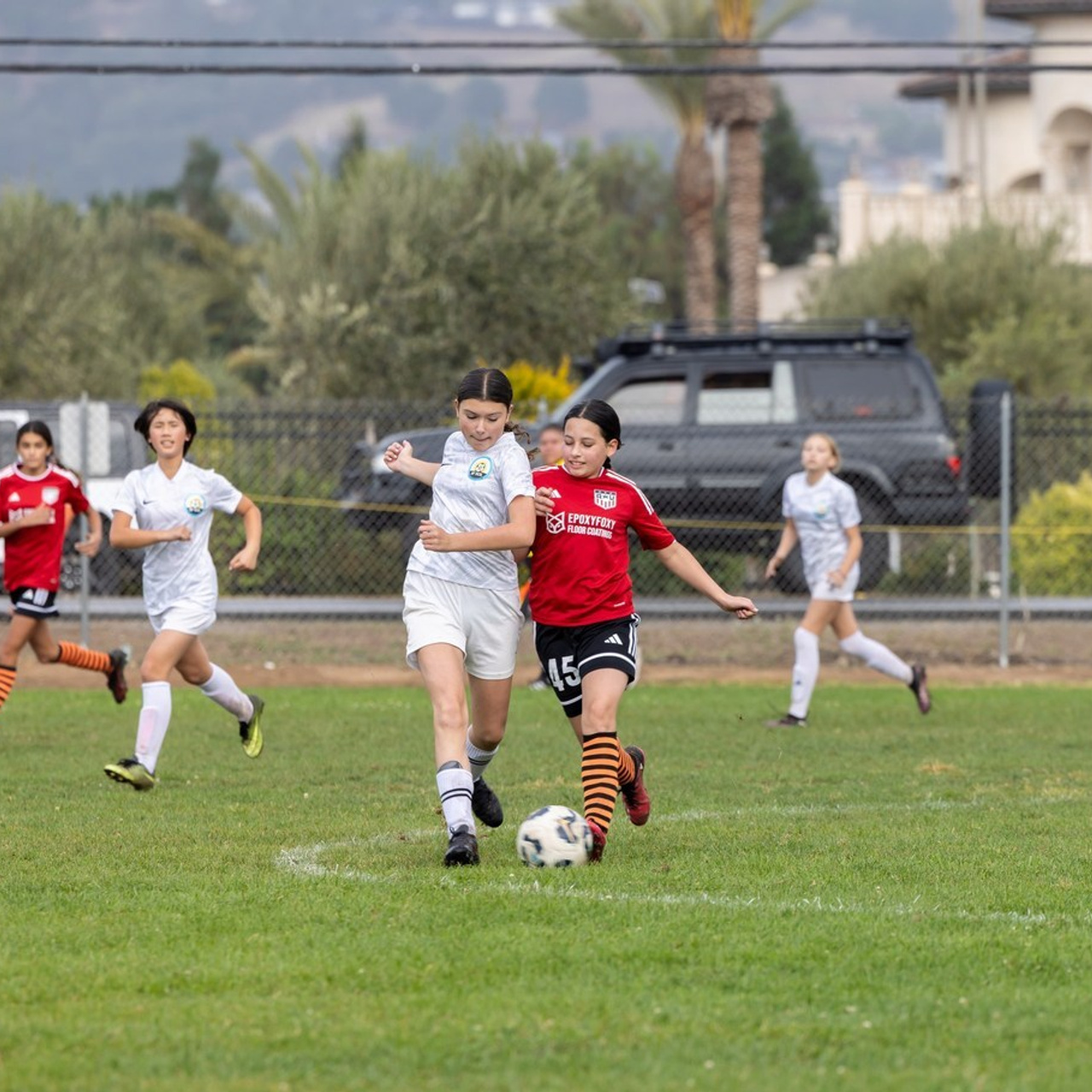 Testimonials. Photographer is San Jose, Iryna Novosyolova