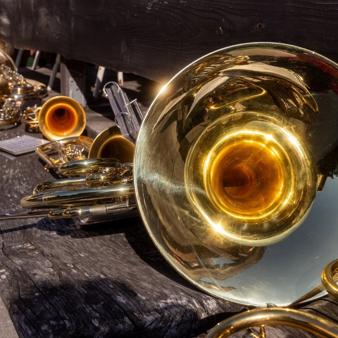 Referenzen. Guzel Kolobova| Fotografin| Salzburg