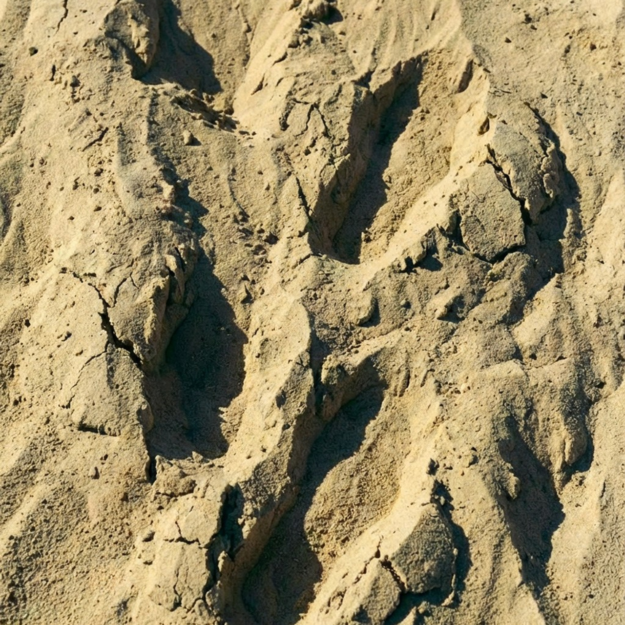 SALOMON. Aura Studio / co-design space