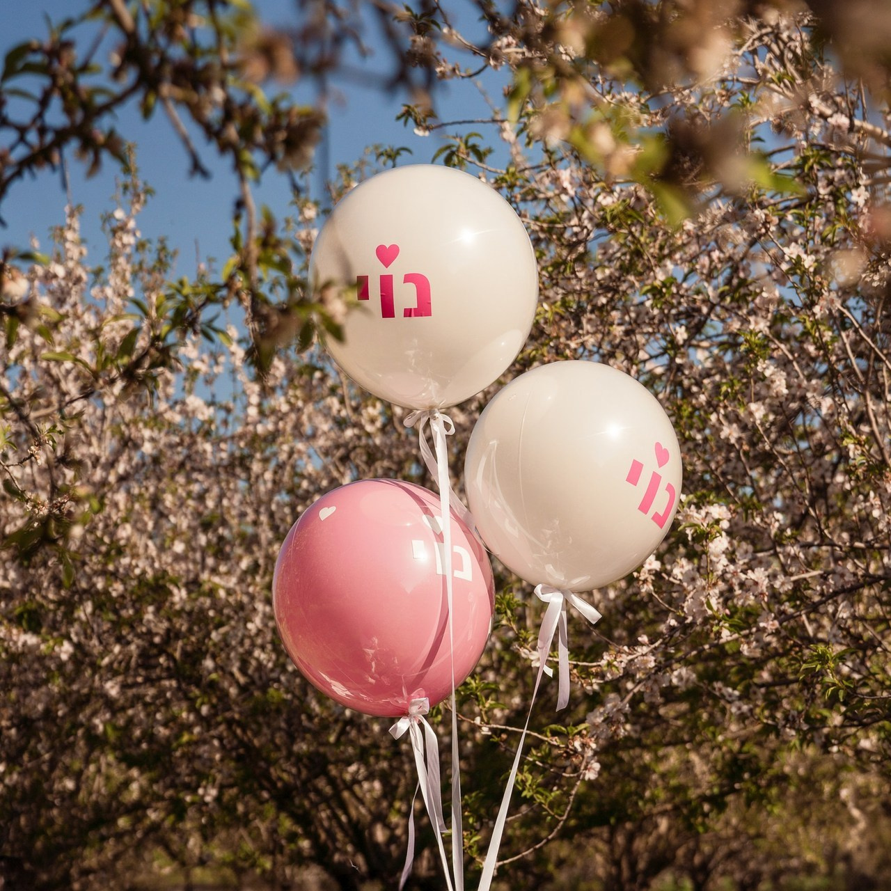 תגובות לקוחות: חוויות אמיתיות מהסשנים שלנו