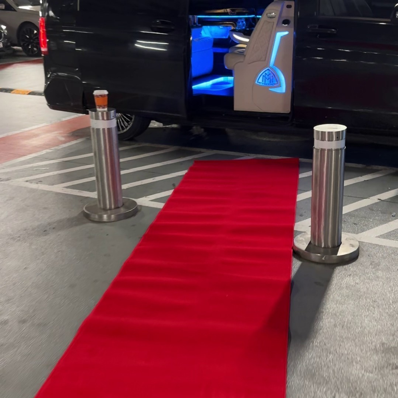 Фотосессия в Стамбуле. Фотограф в Стамбуле. Лайфстайл фотограф в Стамбуле Анатолий. Фотосессии на крышах с чайками