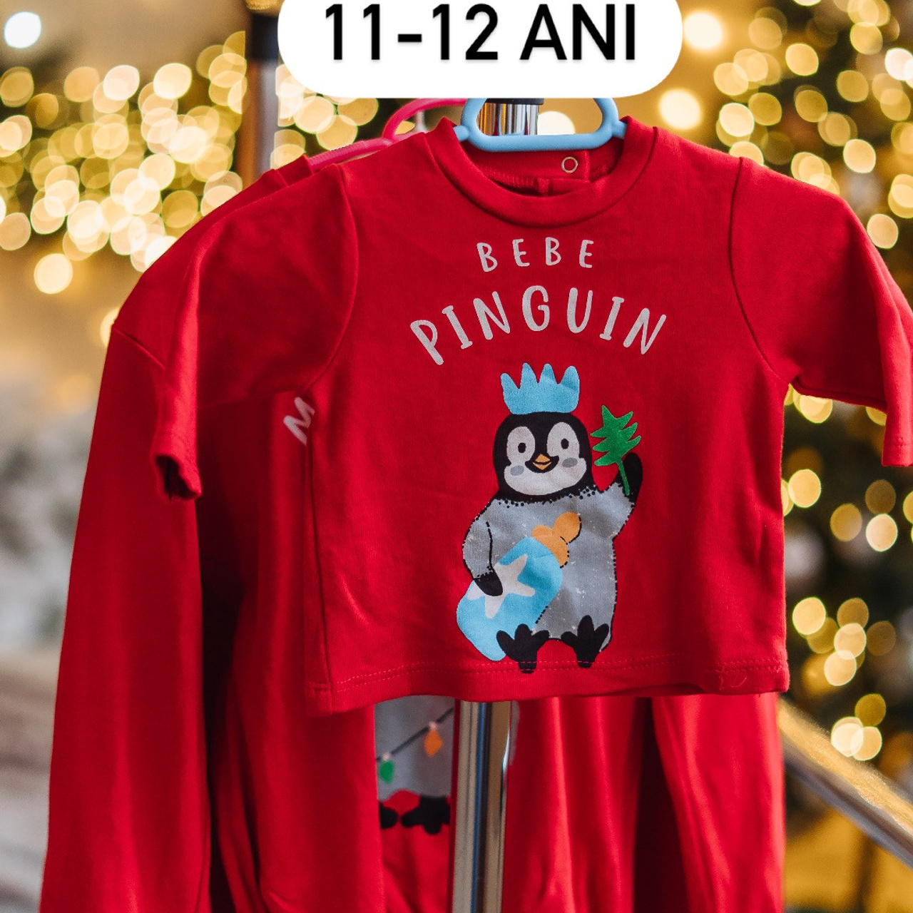 Ședința foto de Crăciun. Diana Muntean Photography