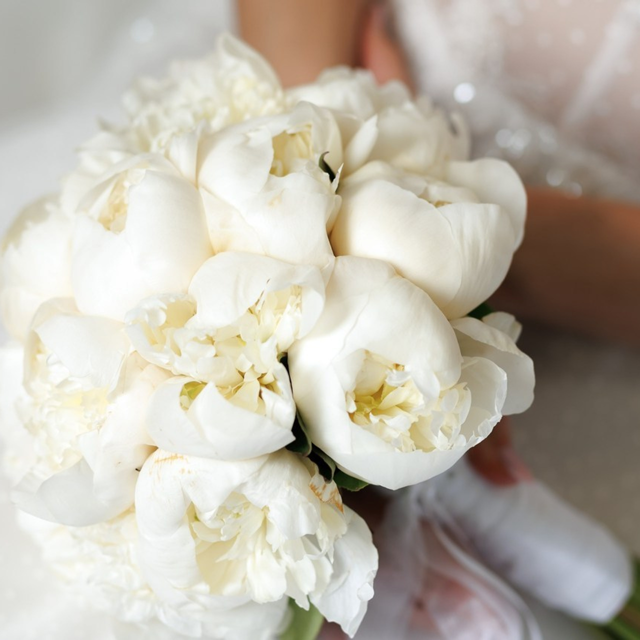 Rezensionen Fotograf Nataliia Schütze. Hochzeitsfotografie in Berlin Nataliia Schütze