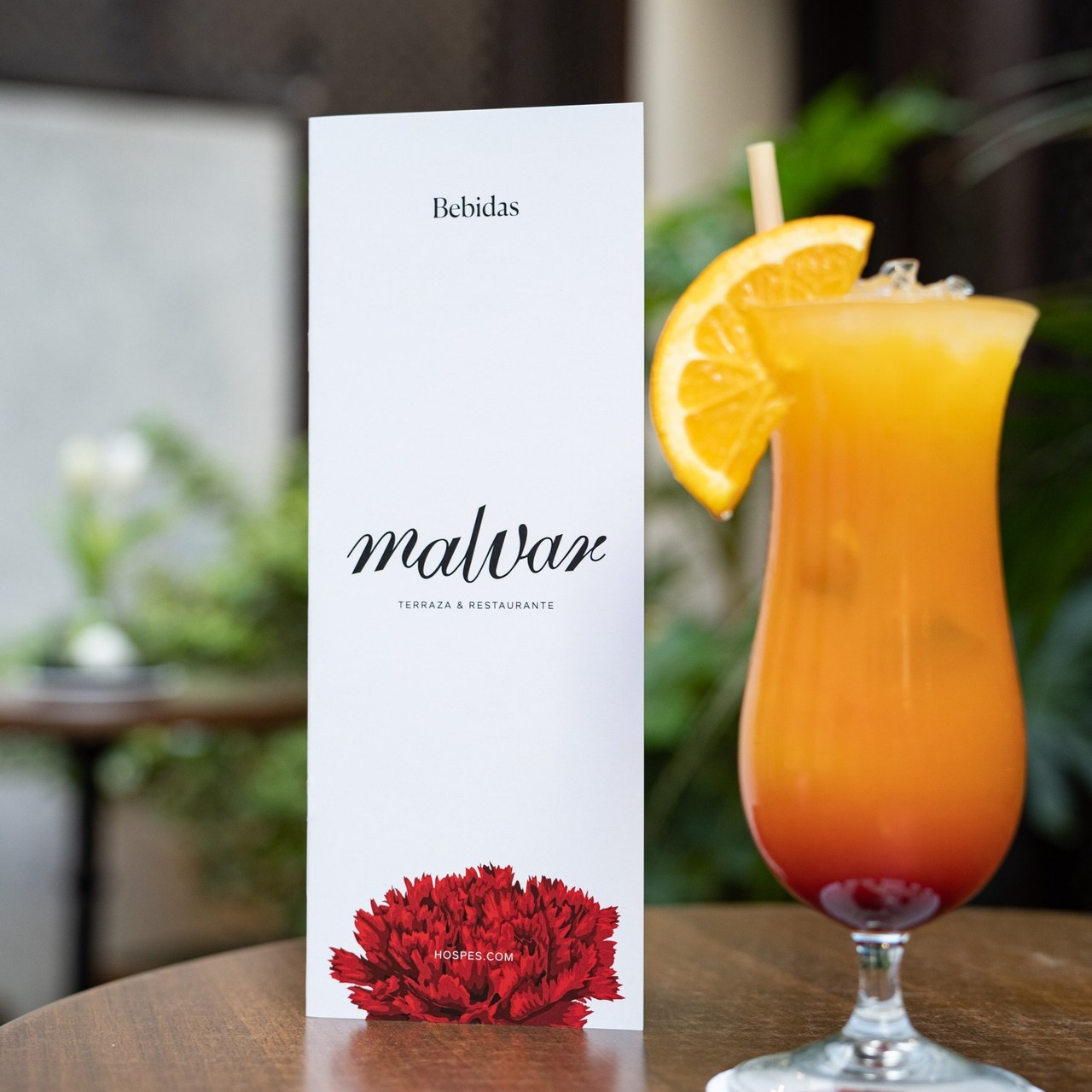 Testimonials feedback review photographer Madrid. Photographer in Madrid, Spain. Alyona Belyaninova